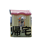 おぺぺ（個別スタンプ：1）