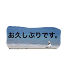 おぺぺ（個別スタンプ：10）