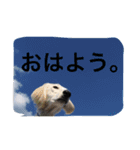おぺぺ（個別スタンプ：12）