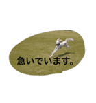 おぺぺ（個別スタンプ：15）