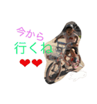 kanondaichi  2（個別スタンプ：3）