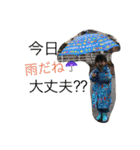 kanondaichi  2（個別スタンプ：12）
