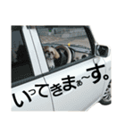 シーズーのふうたの日常生活（個別スタンプ：36）