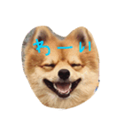 おかもとりきちゃん（個別スタンプ：1）