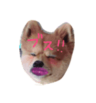 おかもとりきちゃん（個別スタンプ：3）