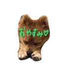 おかもとりきちゃん（個別スタンプ：4）