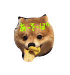 おかもとりきちゃん（個別スタンプ：13）