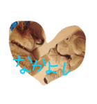 おかもとりきちゃん（個別スタンプ：15）