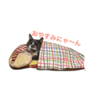 チェルシー＆ステラ（個別スタンプ：9）