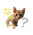 チェルシー＆ステラ（個別スタンプ：16）