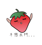 Raspberry daily（個別スタンプ：8）