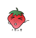 Raspberry daily（個別スタンプ：14）