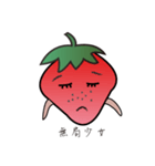 Raspberry daily（個別スタンプ：15）