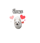 Ms. Jeng jeng（個別スタンプ：5）