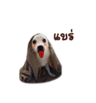 Ms. Jeng jeng（個別スタンプ：8）