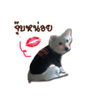 Ms. Jeng jeng（個別スタンプ：10）