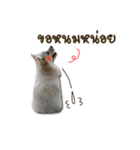 Ms. Jeng jeng（個別スタンプ：11）