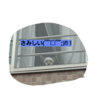 難波マイケル（個別スタンプ：2）