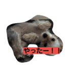 難波マイケル（個別スタンプ：5）