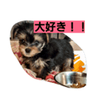 難波マイケル（個別スタンプ：7）