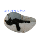 ねこになりたい（個別スタンプ：1）