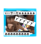 奏汰専用（個別スタンプ：9）