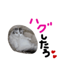 Osaka Dialent（個別スタンプ：12）