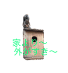 ちびっ子ズ（個別スタンプ：4）