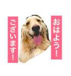 るるの日常（個別スタンプ：5）