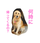 るるの日常（個別スタンプ：6）