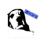 るるの日常（個別スタンプ：9）