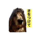 るるの日常（個別スタンプ：14）