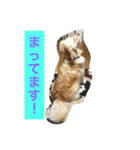 るるの日常（個別スタンプ：16）