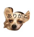さくちゃんは今日も元気（個別スタンプ：5）
