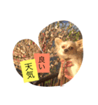 さくちゃんは今日も元気（個別スタンプ：9）