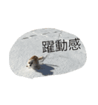 さくちゃんは今日も元気（個別スタンプ：12）