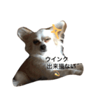さくちゃんは今日も元気（個別スタンプ：13）