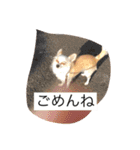 さくちゃんは今日も元気（個別スタンプ：19）