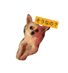 さくちゃんは今日も元気（個別スタンプ：24）