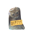 トラちゃんスタンプ！！（個別スタンプ：4）