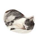眠たいんだ（個別スタンプ：3）