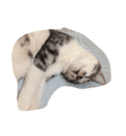 眠たいんだ（個別スタンプ：8）