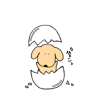 わが家の愛犬。（個別スタンプ：13）