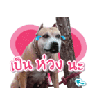 The Pitbulls Family（個別スタンプ：8）