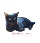 クールな黒猫ごまちゃん（個別スタンプ：3）