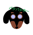 DOG FACE.（個別スタンプ：10）