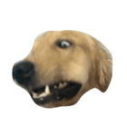Cracker The Undog（個別スタンプ：4）