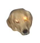Cracker The Undog（個別スタンプ：8）