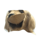 Cracker The Undog（個別スタンプ：10）