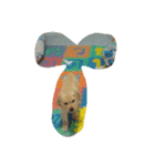 Cracker The Undog（個別スタンプ：11）